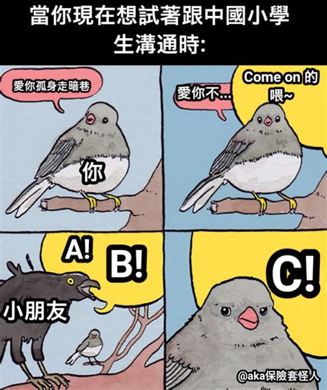 這是鳥嗎 梗圖|這是什麼鳥